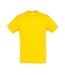 Unisex Adult Regent T-shirt Gold SOLS-1