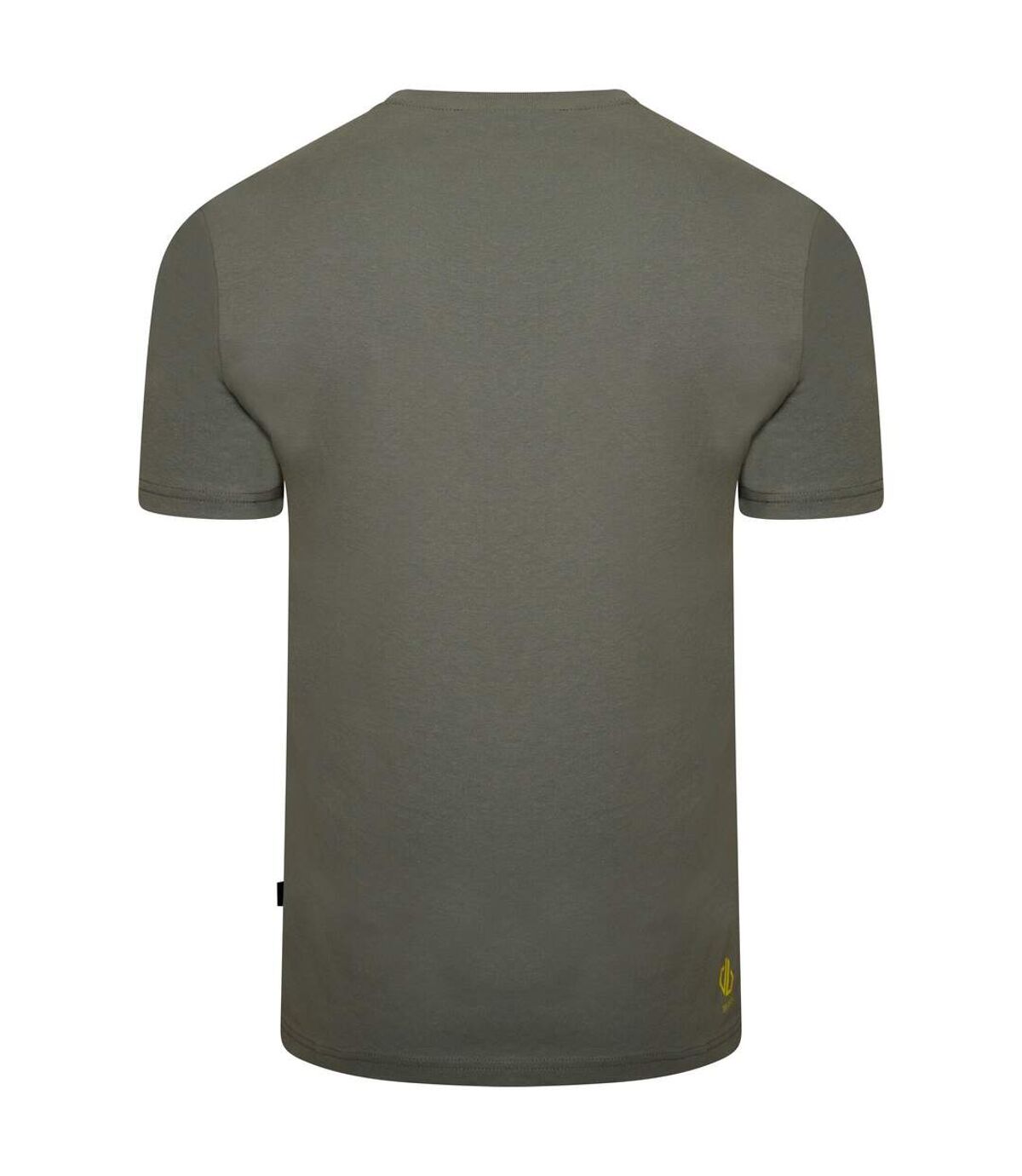 Dare 2B Mens Perpetuate Skyline T-Shirt (Agave Green) - UTRG7309