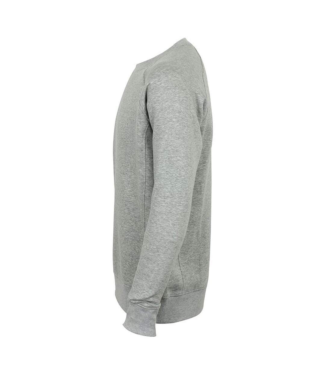 Skinni Fit Unisex Slim Fit Sweatshirt (Heather Gray) - UTRW5498-3