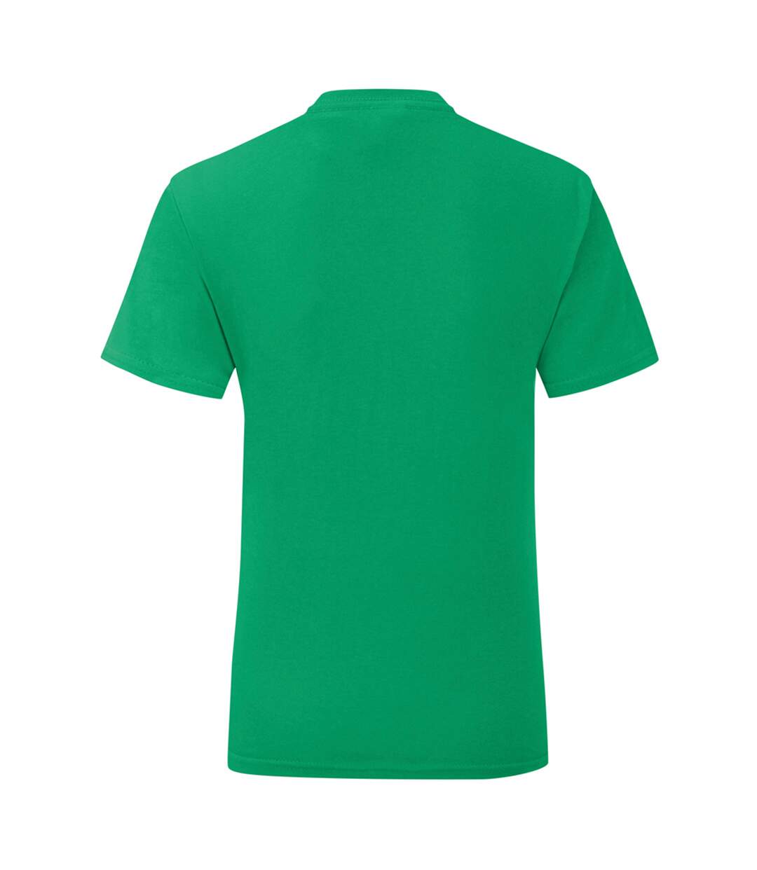 Fruit Of The Loom - T-shirt ICONIC - Hommes (Vert) - UTPC4369