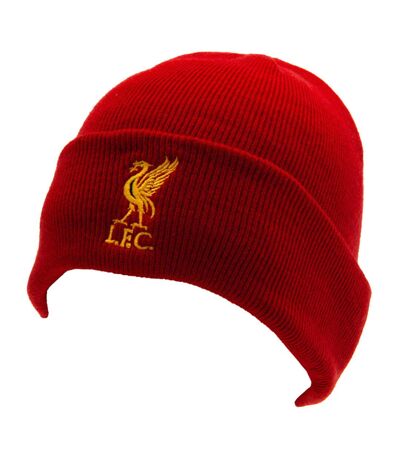 Liverpool FC Unisex Adult Turned Up Cuff Beanie (Red/Yellow) - UTTA11410