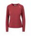 Trespass Womens/Ladies Jannett Long-Sleeved T-Shirt (Dark Cherry Marl) - UTTP5143