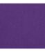 Lot de 100 sets de table tissu jetables - 50x35 cm - HOSTEX - violet raisin-1