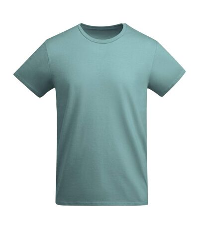 Roly Mens Breda Plain T-Shirt (Grey Marl)
