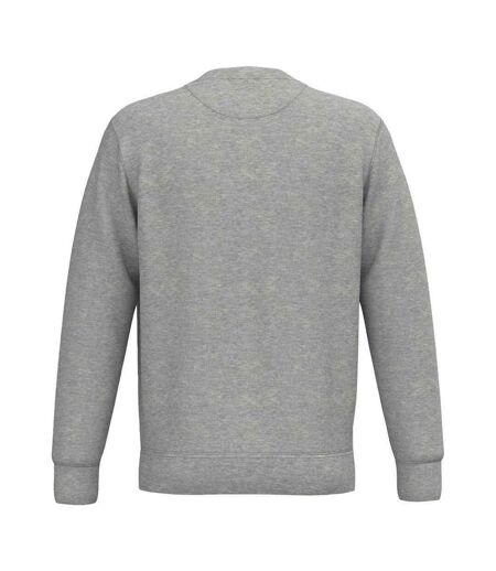 Sweat Adulte Gris Clair Chiné Native Spirit
