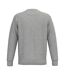 Sweat Adulte Gris Clair Chiné Native Spirit-3