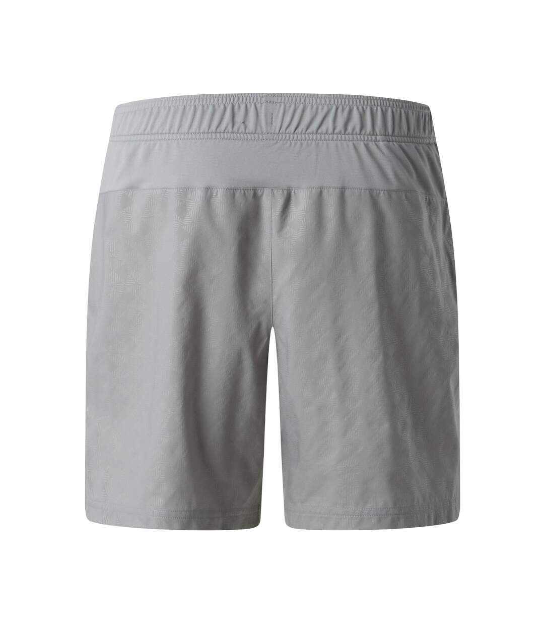 Short Motif/style À Motifs 24/7 Pentdome Homme Gris The North Face-2