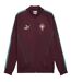 Mens Lightweight Fitted Tracksuit Top Red Green Puma-2
