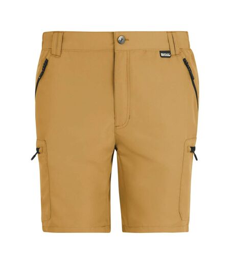 Short Leesville Homme Marron Bois Regatta