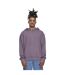 Sweat À Capuche Homme Violet Urban Classics-1