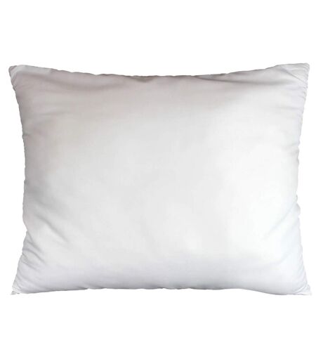 Oreiller en Polyester Anti Acarien 50x70cm Blanc