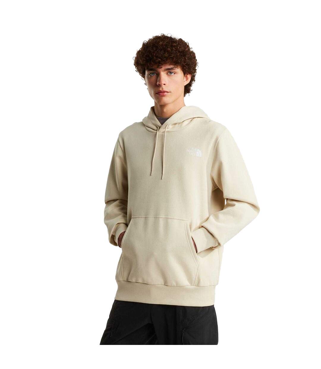 Sweat À Capuche Motif/style Dôme Homme Marron Beige Gris The North Face-2