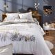 Drap-2