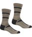 Chaussettes Samaris Season Homme Marron Clair Gris Regatta-1