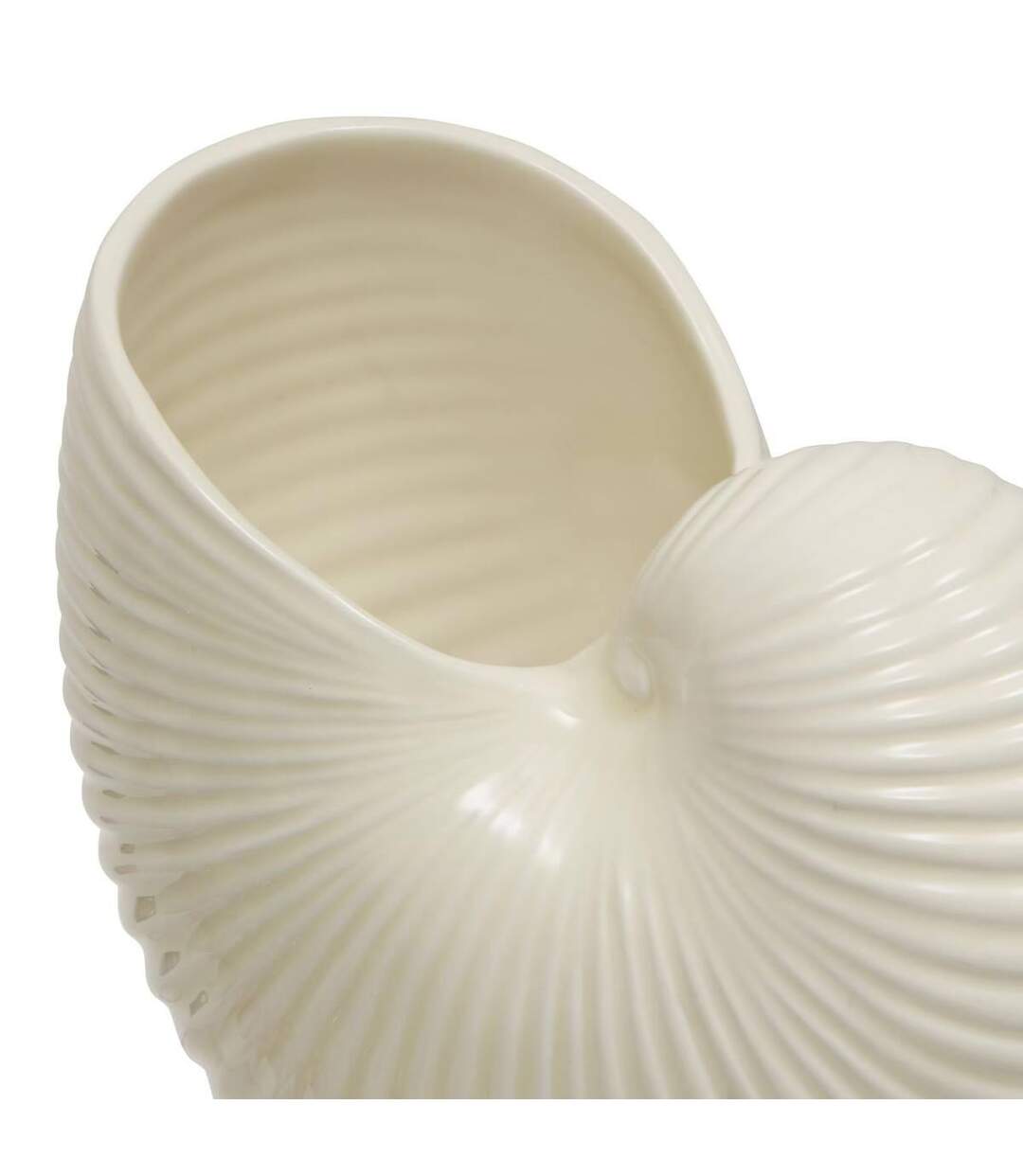 Vase Coquillage en Dolomite Océania 22cm Blanc-2