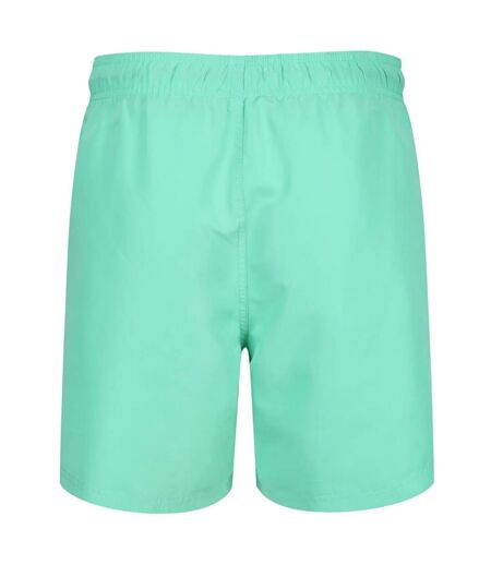 Mens swim shorts aqua RIPT Essentials