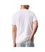 T-shirt blanc/camel homme calvin klein jeans shadow - l-2