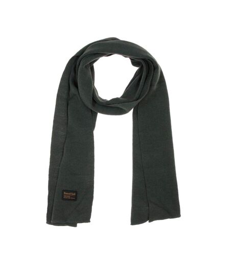 Echarpe vert homme petrol industries 3050