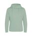 Sweat À Capuche Homme Vieux Vert Awdis-1