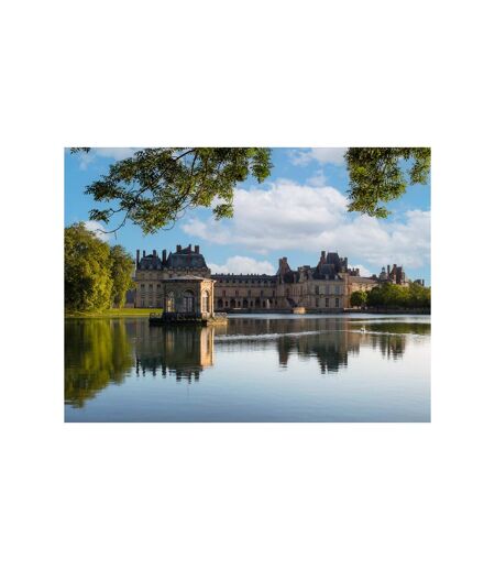 Découverte du château de Fontainebleau avec 2 entrées prioritaires - SMARTBOX - Coffret Cadeau Sport & Aventure