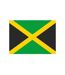 Drapeau 150 Cm X 90 Cm Vert Noir Jaune Printwear-1