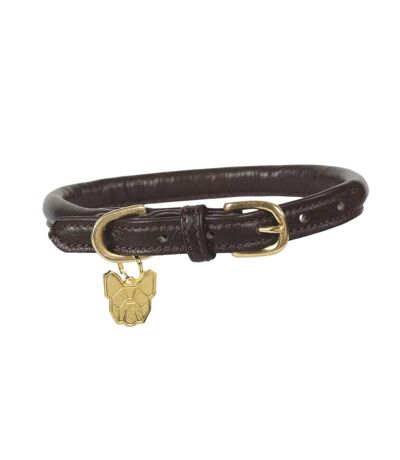 Rolled leather buckle dog collar l neckline: 53cm-58cm brown Digby & Fox