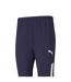 Mens Team Liga Tracksuit Bottoms Peacoat Blue White Puma-2