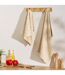 Lot de 2 Torchons de Cuisine Terry 45x70cm Beige-3