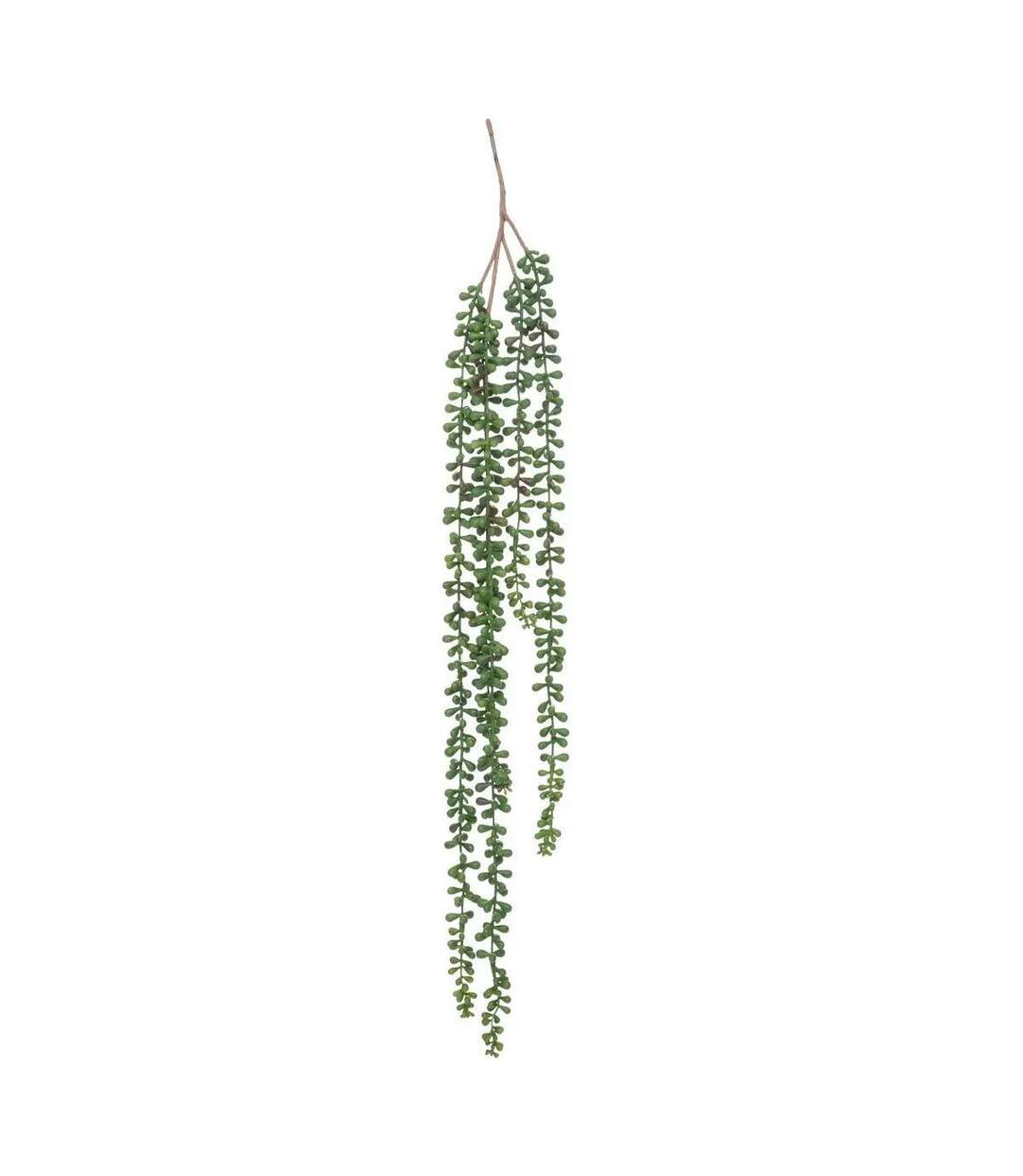 Plante Tombante Déco Séneçon 37cm Vert-1