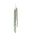 Plante Tombante Déco Séneçon 37cm Vert-1