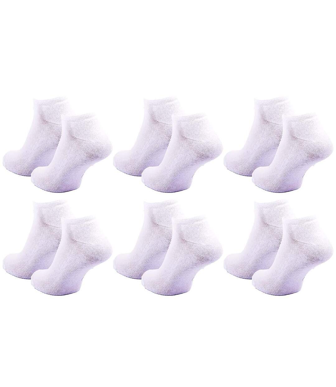 Chaussettes SERGIO TACCHINI SNEAKER 6 Pcs 6062 BOUCLETTE-3