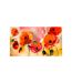 Papier Peint XXL Velvet Poppies 280x500cm-2