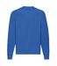 Fruit of the Loom Mens Classic Raglan Sweatshirt (Royal Blue) - UTPC6399