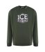 Sweat Motif Logo Homme Vert Ice Iceberg-1
