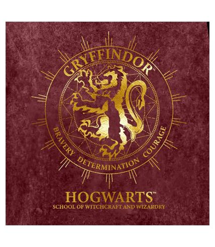 Harry Potter Womens/Ladies Gryffindor Constellation T-Shirt (Maroon) - UTHE659