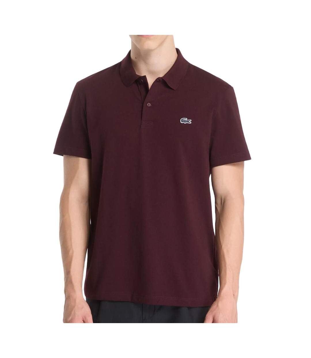 Polo bordeaux homme lacoste regular-1