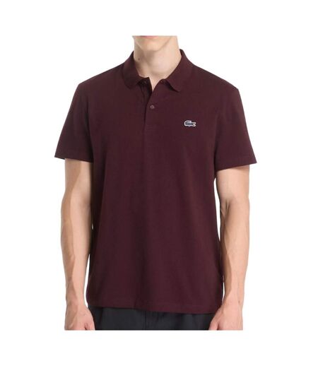 Polo bordeaux homme lacoste regular
