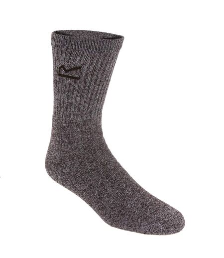 Lot de 3  Chaussettes paires homme marron marne Regatta