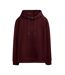 Sweat à capuche bordeaux homme teddy smith jim - l-1