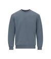 Gildan Unisex Adult Softstyle Fleece Midweight Sweatshirt (Stone Blue)