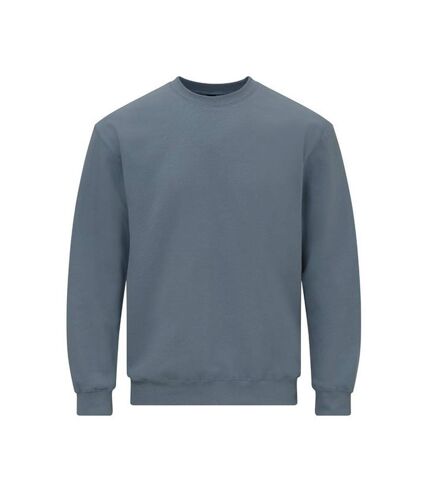 Gildan Unisex Adult Softstyle Fleece Midweight Sweatshirt (Stone Blue) - UTRW8855