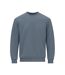 Gildan Unisex Adult Softstyle Fleece Midweight Sweatshirt (Stone Blue) - UTRW8855
