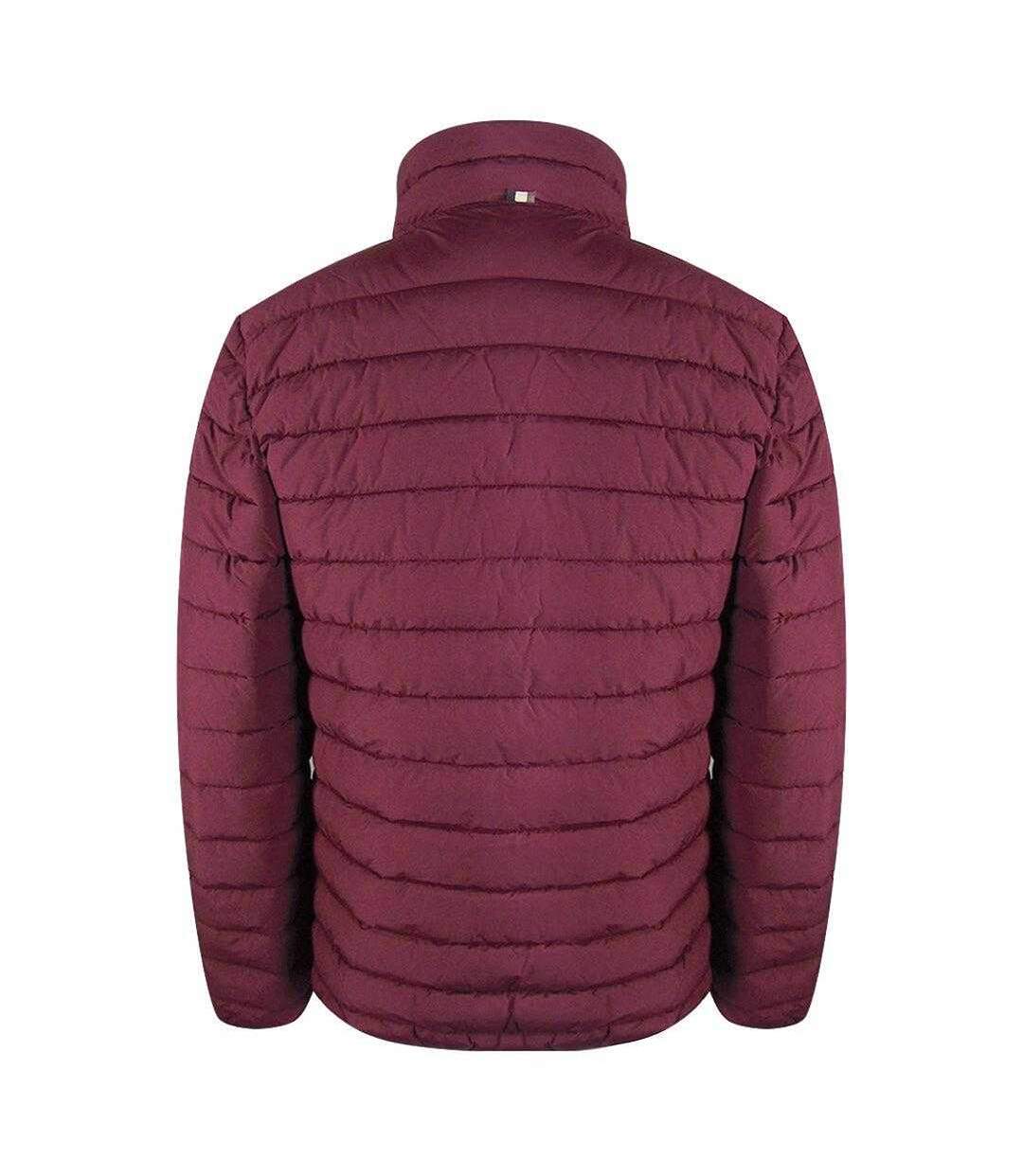Veste Active Hunter Homme Bordeaux Aquascutum-2