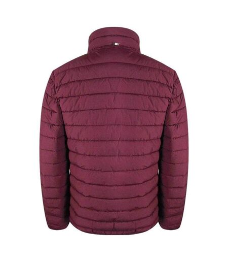 Veste Active Hunter Homme Bordeaux Aquascutum