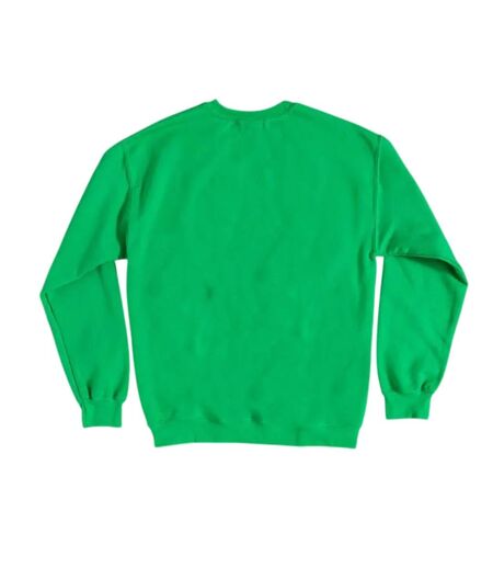 Sweat Motif Gizmo Festive Adulte Vert Gremlins