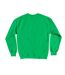 Sweat Motif Gizmo Festive Adulte Vert Gremlins-2