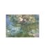 Claude Monet - Imprimé (Vert) (40 cm x 30 cm) - UTPM6254