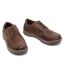 Hush Puppies Mens Tucker Lace Up Shoes (Brown) - UTFS6063-1