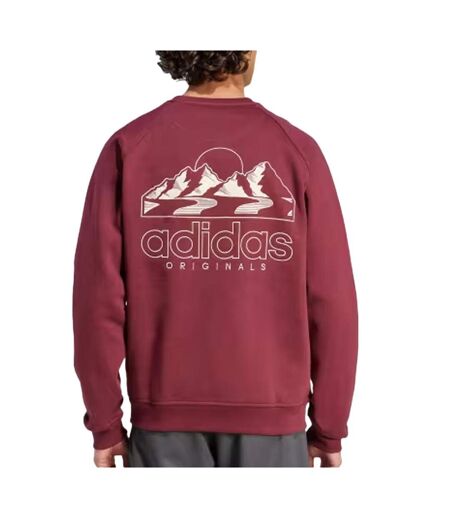 Sweat rouge homme adidas mountaingfx
