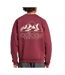 Sweat rouge homme adidas mountaingfx-2